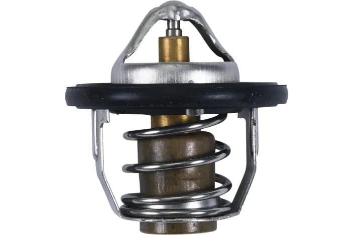 THERMOSTAT POLARIS