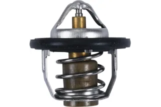 THERMOSTAT POLARIS