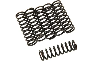 BARNETT CLUTCH SPRINGS