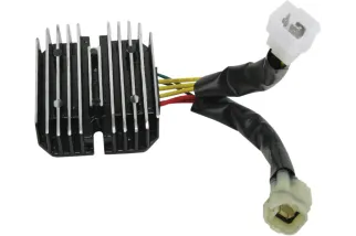 REG/REC MUD ARTIC CAT