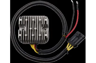 REGULATOR/RECTIFIER MUD POLARI