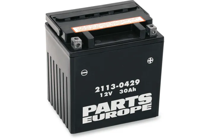 BATTERY YIX30L-BS