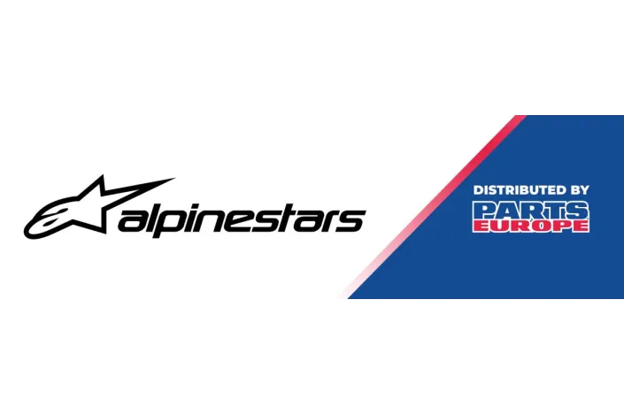 STICKER 295 x 1000 ALPINE