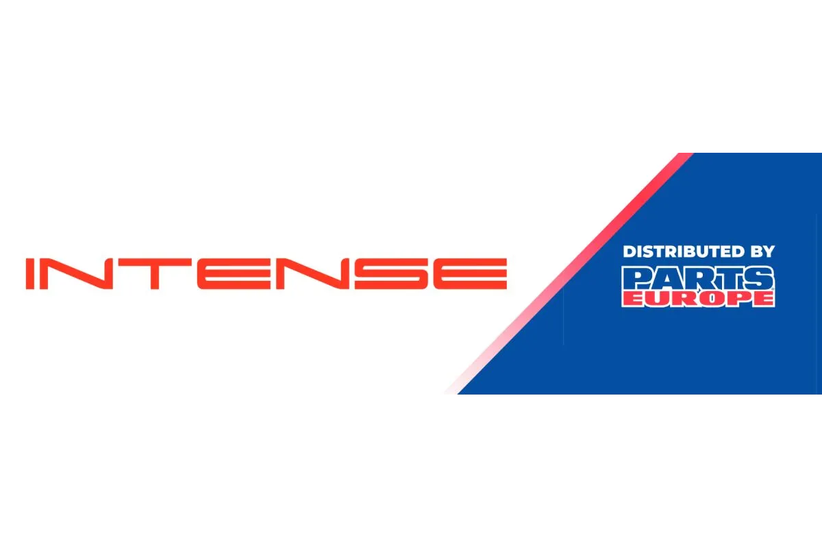 STICKER 295 x 1000 INTENS