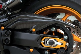 Carter de courroie LIGHTECH carbone brillant