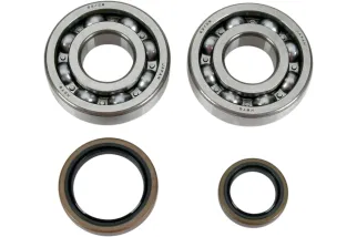 CRNK BRG/SLS RM250 96-01