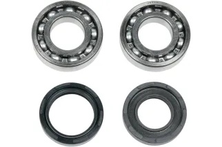 CRNK BRG/SLS YZ250 80-88