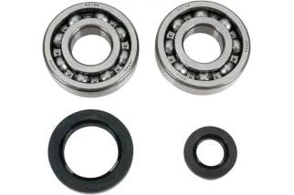 BEARINGS SLS CRNK CR250