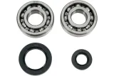 BEARINGS SLS CRNK CR250