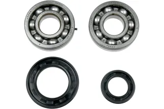 MSE CRNK BRG/SEALS YFZ