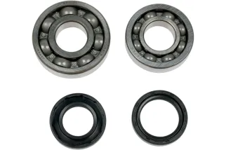 MSE CRNK BRG/SLS YFS200