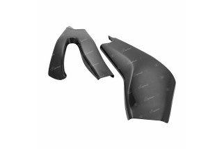 Protection de cadre LIGHTECH carbone brillant