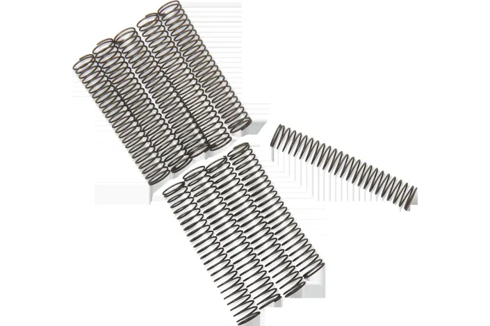 CK VALVE SPRNG 81-99 BT