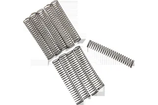 CK VALVE SPRNG 81-99 BT