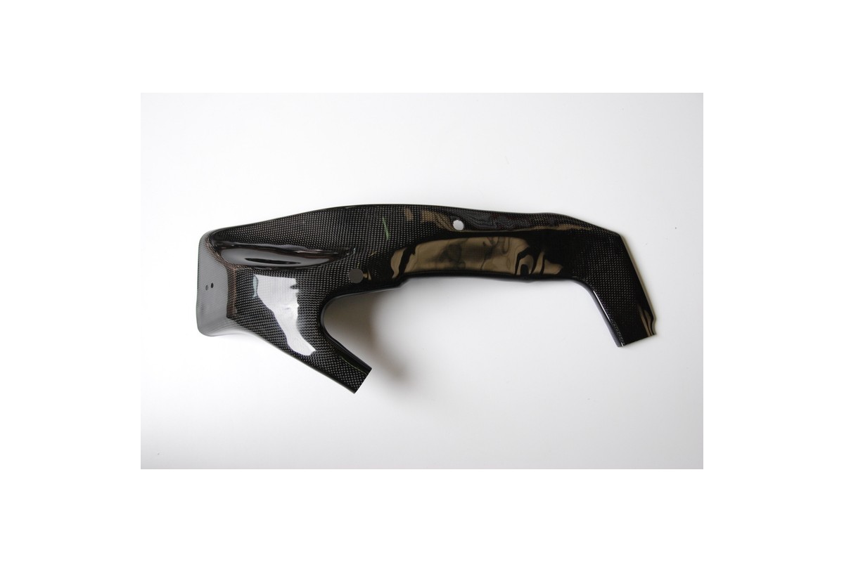 Protection de cadre LIGHTECH carbone brillant