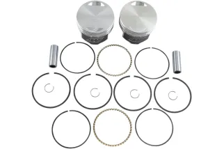 PISTON KIT .010 EVO BT