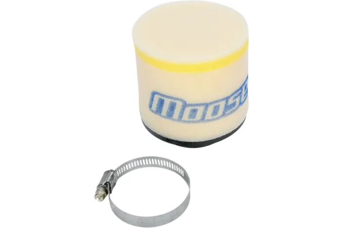 AIR FLTR AC 250/300 98-00