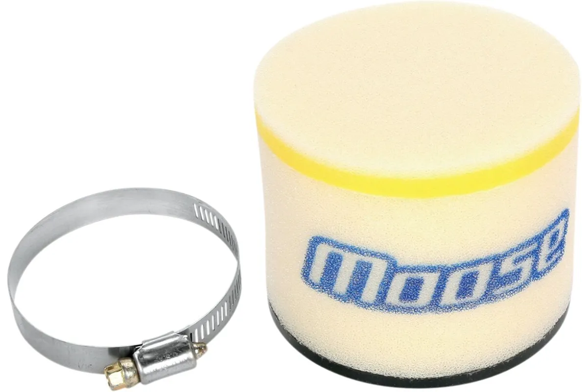 AIR FLTR AC 250-500/454