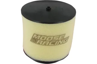 AIR FILTER TRX400/650