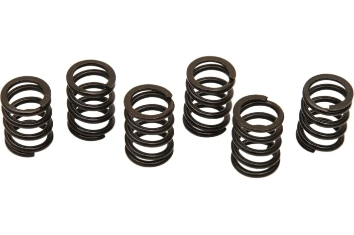 CLUTCH SPRING SET
