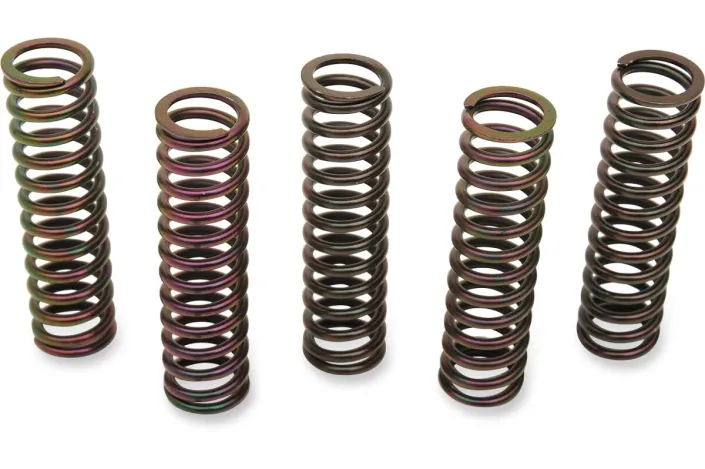 CLUTCH SPRING KIT SUZ