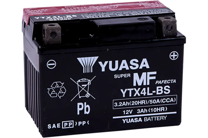 BATTERY MNT FREE .174LTR