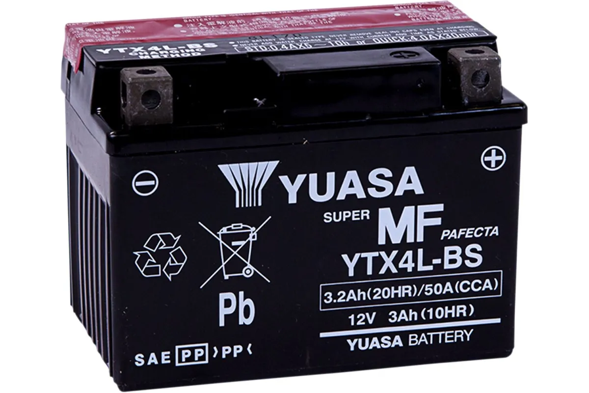 BATTERY MNT FREE .174LTR