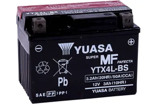 BATTERY MNT FREE .174LTR