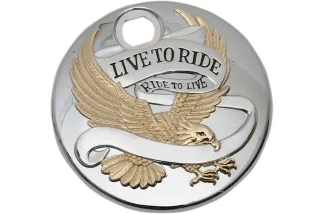 DOOR GAS LTR GOLD 92-07