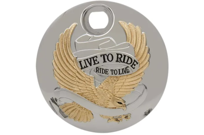 DOOR GAS LTR GOLD 08-22