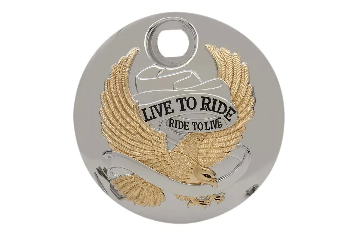 DOOR GAS LTR GOLD 08-22