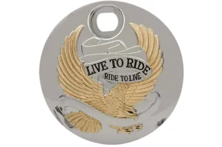 DOOR GAS LTR GOLD 08-22