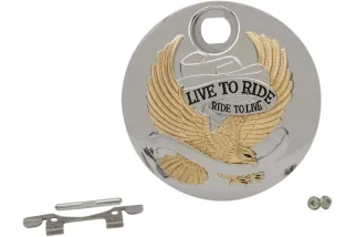 DOOR GAS LTR GOLD 08-22