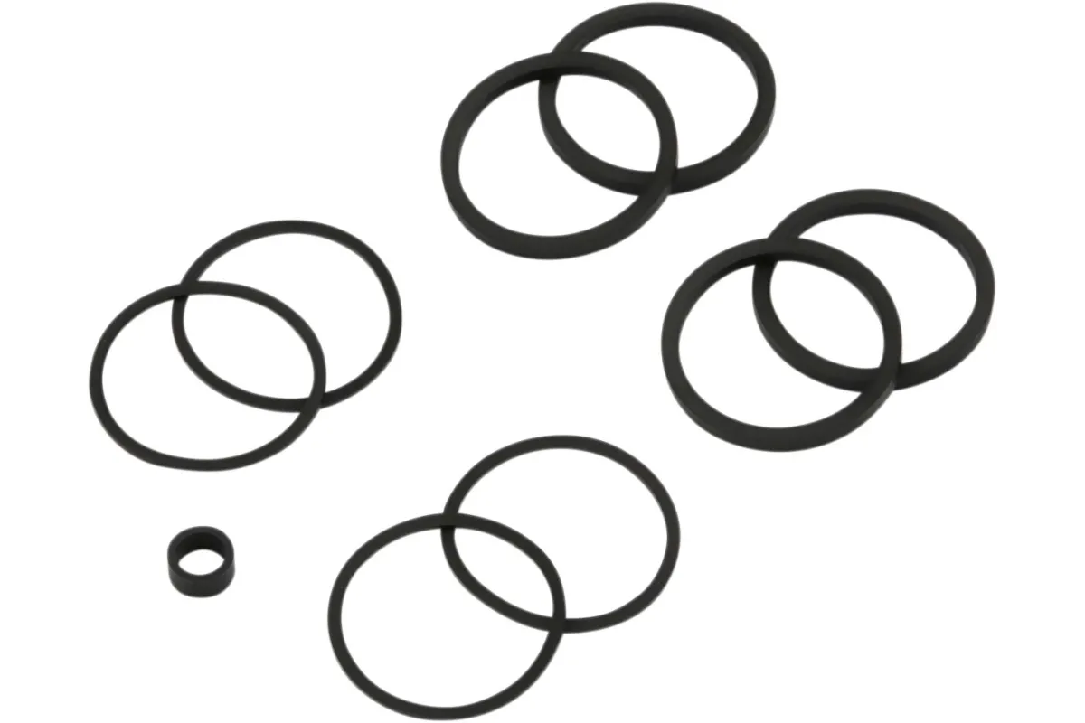 SEALS CLPR 08-14 SFTL F/R