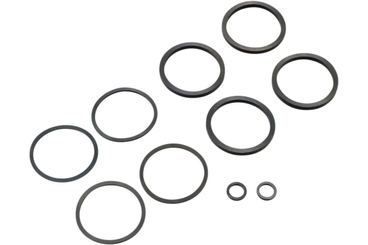 SEAL KIT CALIPER 00-07BT