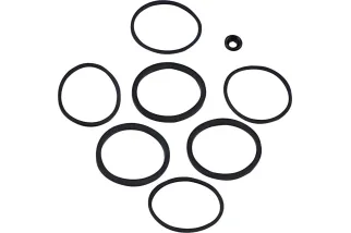 SEAL KT CALIPER 08-20 FLT