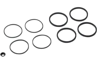 SEAL KT CALIPER 08-20 FLT