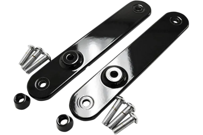 MOUNTS TURN SIGNAL FL BK