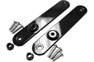 MOUNTS TURN SIGNAL FL BK