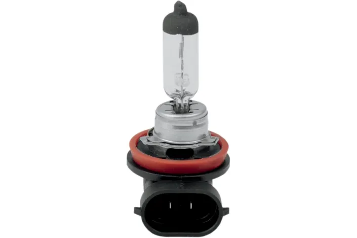 BULB H11 HLGN 55W LO ONLY