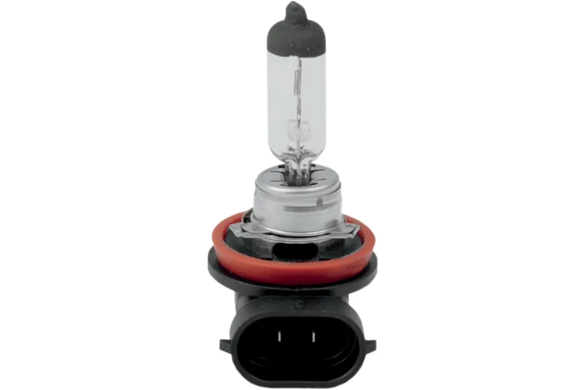 BULB H11 HLGN 55W LO ONLY