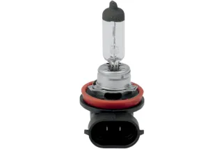 BULB H11 HLGN 55W LO ONLY