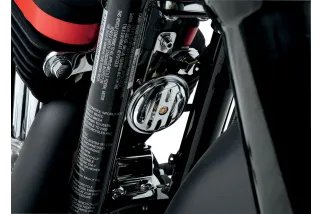 HORN 2.5 CHR SLOTTED