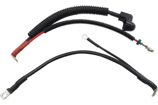 CABLE SET BATRY FLT 17+