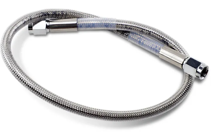 19UNIV SS CLEAR COAT DOT