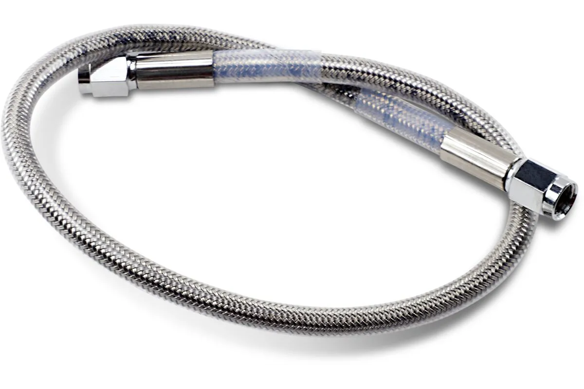 19UNIV SS CLEAR COAT DOT