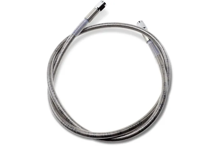 38UNIV SS CLEAR COAT DOT