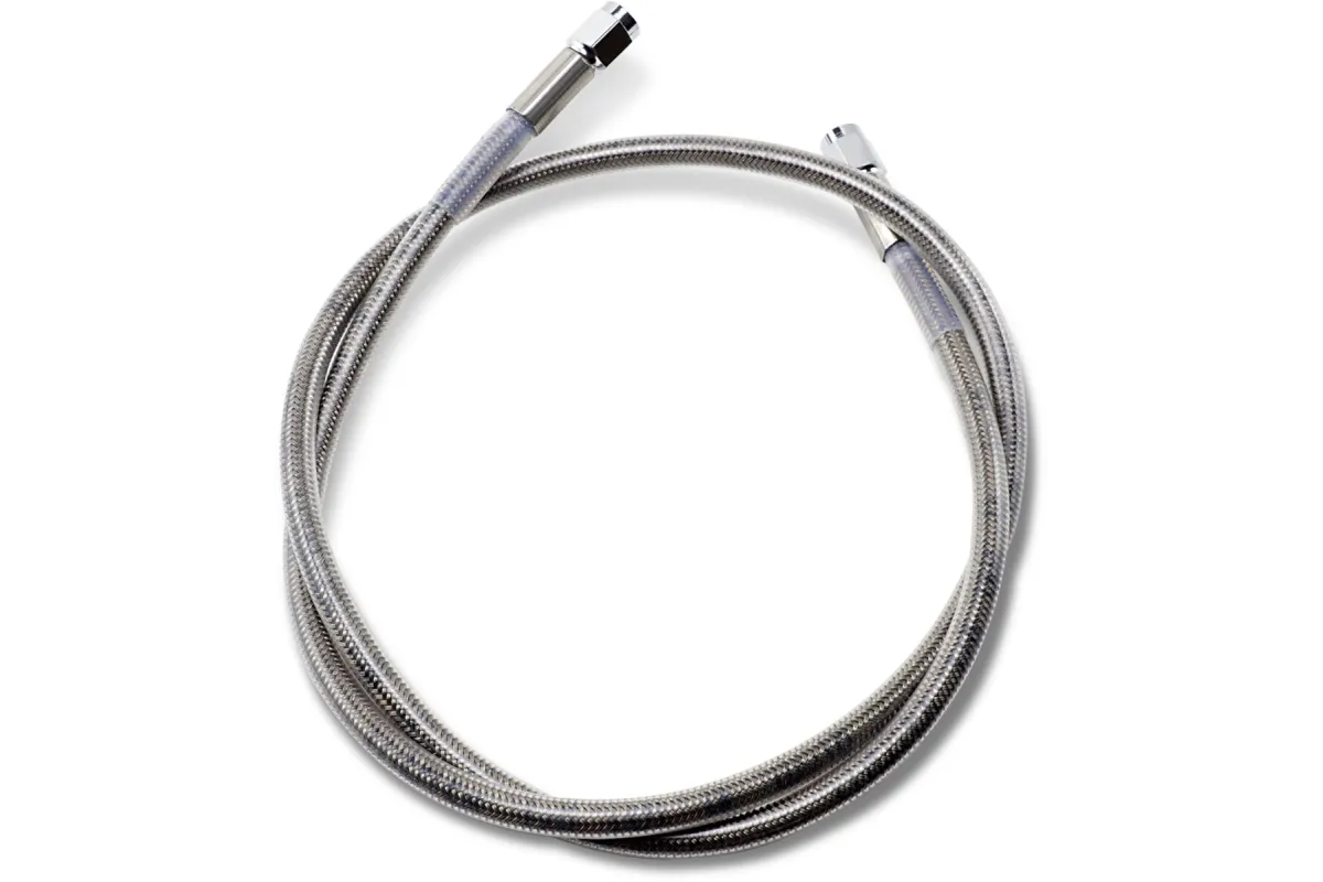 38UNIV SS CLEAR COAT DOT