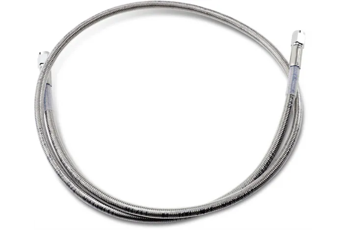 42UNIV SS CLEAR COAT DOT