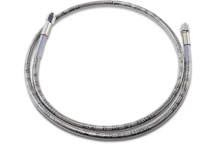 43UNIV SS CLEAR COAT DOT